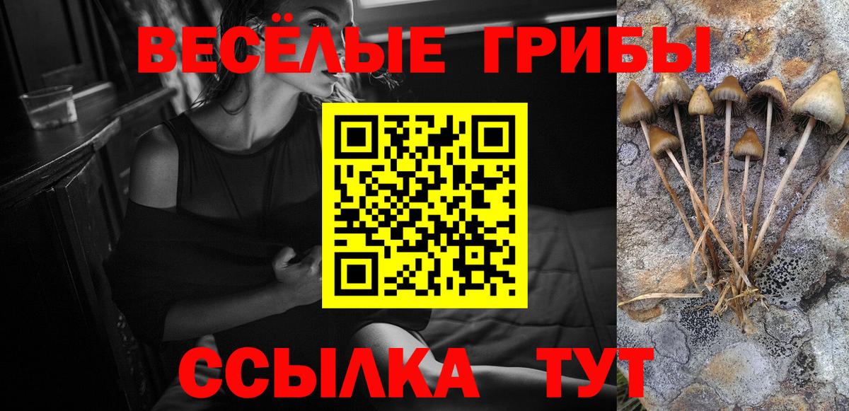 Псилоцибиновые грибы MAGIC MUSHROOMS Ковров