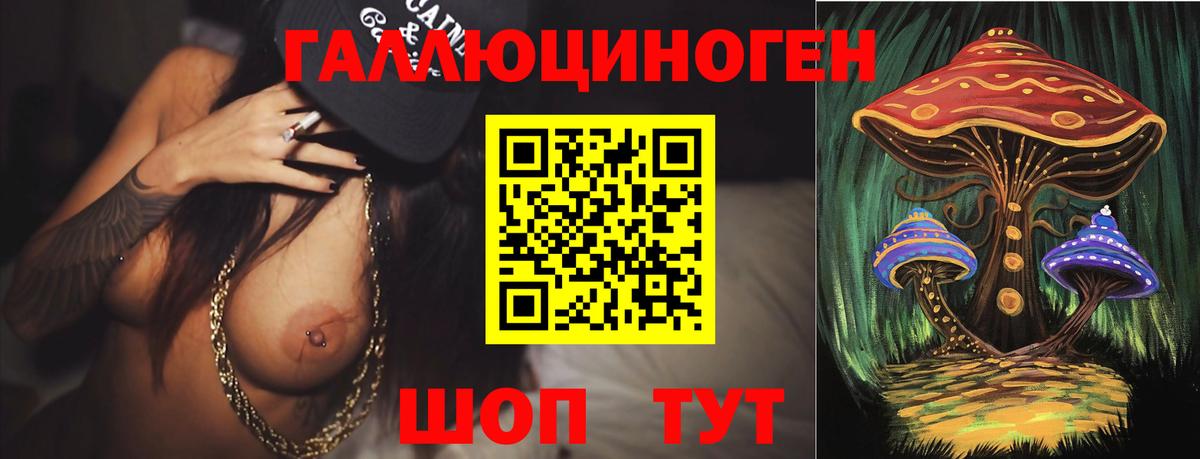 Псилоцибиновые грибы GOLDEN TEACHER  Вход с VPN  Ковров 