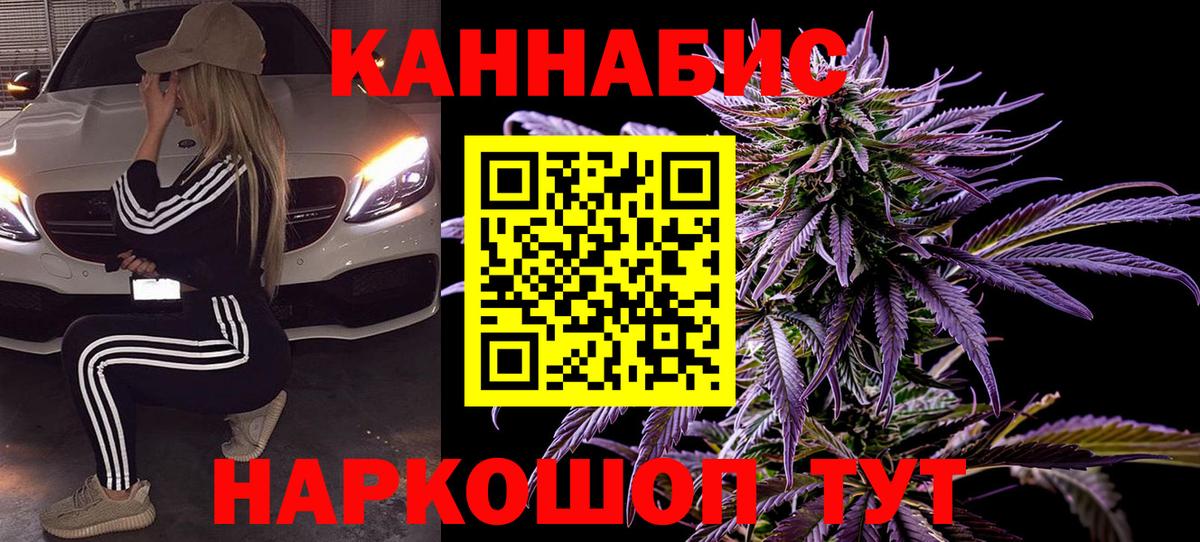 Канабис сатива Ковров